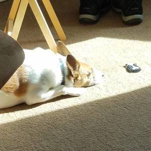 Meet your Posher, Barbara